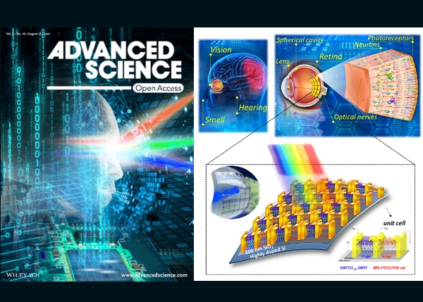 Research Result of Smart Artificial Retina from NTU Chem. Eng. &amp; ARC-GMST Selected as the Inside Front Cover of Journal ADVANCED SCIENCE