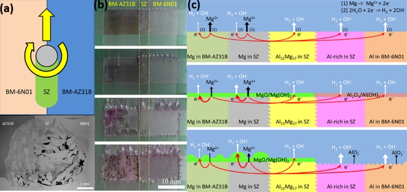 林友瑞、林招松*：Galvanic corrosion behavior of friction stir welded AZ31B magnesium alloy and 6N01 aluminum alloy dissimilar joints, Corrosion Science, Vol. 180, Paper no. 109203 (January 2021).