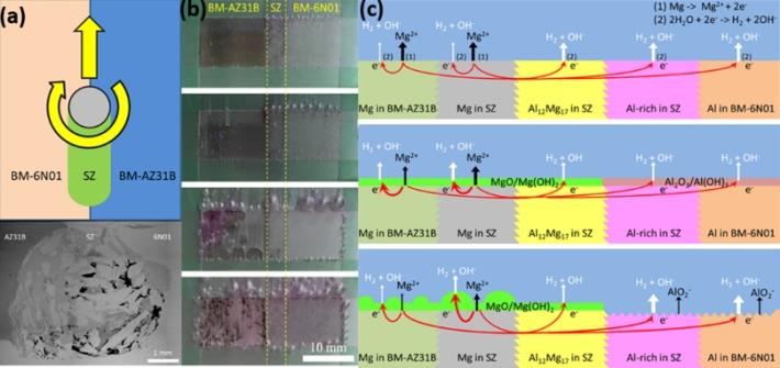 林友瑞、林招松*：Galvanic corrosion behavior of friction stir welded AZ31B magnesium alloy and 6N01 aluminum alloy dissimilar joints, Corrosion Science, Vol. 180, Paper no. 109203 (January 2021).