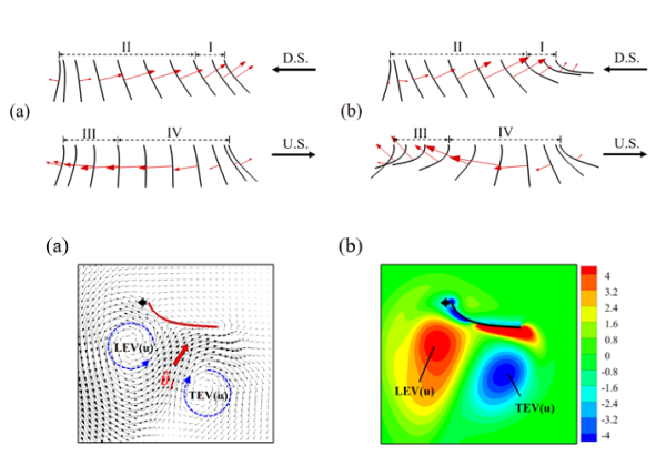 王勵、伍次寅：Effect of Wing Flexibility on the Lift Force Generated by A 2D Model Insect Wing Flapping in Hover Mode, International Journal of Applied Mechanics, Vol. 13, No. 5, Paper no. 2150056 (September 2021)