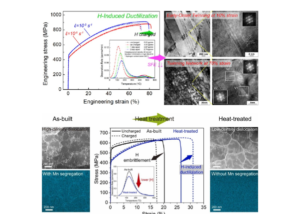 林詣珽、賴人豪、孫苡瑄、顏鴻威*：Twinnability is critical to the transition between hydrogen embrittlement and hydrogen ductilization