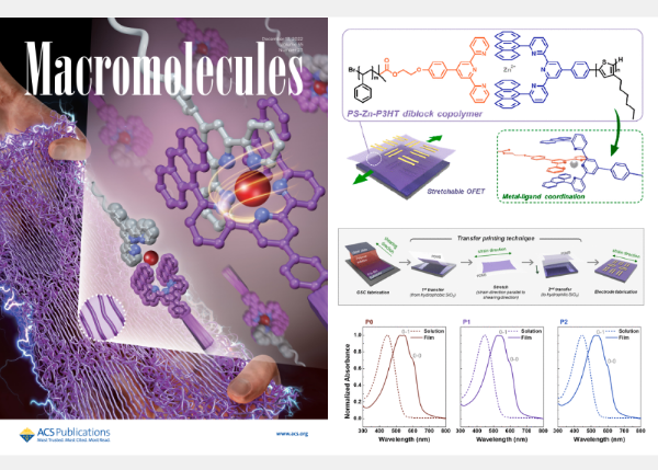 劉振良教授研究成果榮登《Macromolecules》期刊之Supplementary Cover