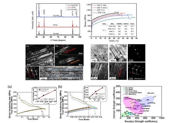 林凱帆、陳世哲、顔鴻威、林新智*：Mechanical performance of a novel low-cost Fe–25Mn–5Co-12.5Cr–5Ni-2.5Si (in at. %) medium-entropy alloy, Materials Science and Engineering: A, Vol. 892, 146032. (February 2024)