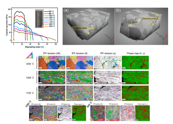 蔡劭璞、洪明泰、林蔚薰、盧思允、江昀容、林德瑋、童博彥：Investigation of high-temperature deformation behaviours of a low-carbon containing duplex stainless steel, Journal of Materials Research and Technology 30 (2024) 7644–7654