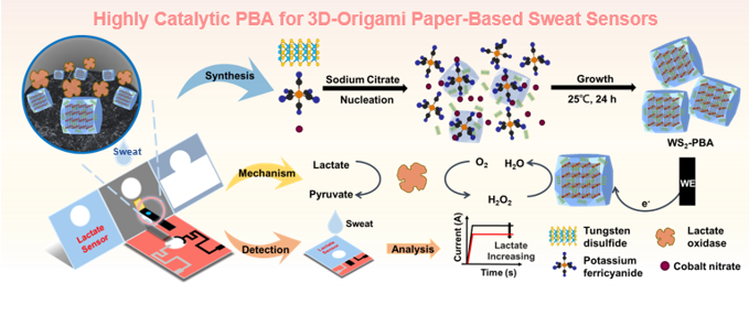 陳威廷、嚴啓峰、余政儒、廖英志、陳建甫*：Highly catalytic Prussian blue analogues and their application on the three-dimensional origami paper-based sweat sensors, Biosensors and Bioelectronics, 254, 116188. (15 June 2024)