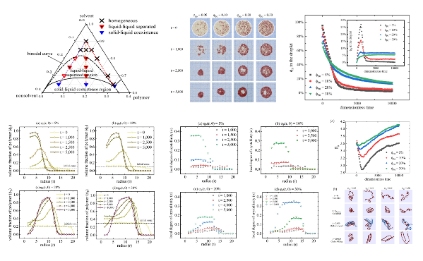 胡昕緯、曹恆光、諶玉真：Nonsolvent-Induced Solidification of Droplets of a Polymer Solution: From a Sphere to a Capsule. Macromolecules 2024, 57, 847−857.