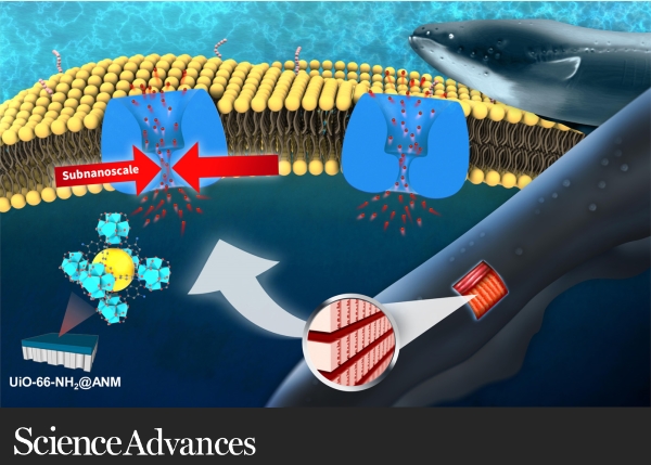 NTU Contributes to the Sustainable Development of Marine Resources, Results Published in Science Advances