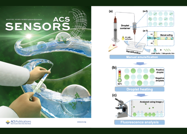 Hand-Powered Microfluidics for Parallel Droplet Digital Loop-mediated Isothermal Amplification (ddLAMP) Assays