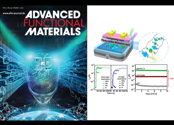 Research Results of the Application of Charge-transfer Supramolecular Electrets in Bistable Photonic Transistor Memory Published in Journal 《Advanced Functional Materials》