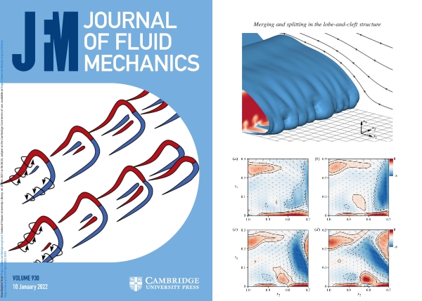 The Research “On the Merging &amp; Splitting Processes in the Lobe-and-cleft Structure at a Gravity Current Head” Selected as the Cover of the Journal of Fluid Mechanics