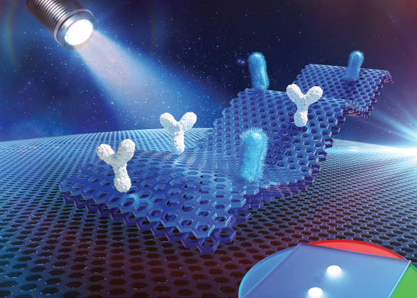 Monolith-modified Cellulose Paper for Disease Diagnosis Applications
