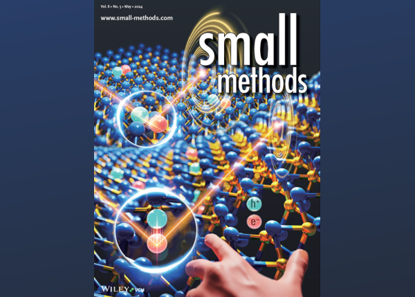 Characterization of 2D Transition Metal Dichalcogenides Through Anisotropic Exciton Behaviors