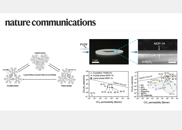 Novel Porous Liquid Materials for Gas Separations